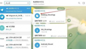 Telegram老账号购买10，满足你的多样需求与独特体验